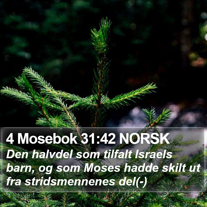 4 Mosebok 31:42 NORSK Bible Study