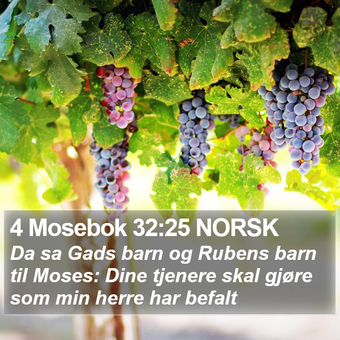 4 Mosebok 32:25 NORSK Bible Study