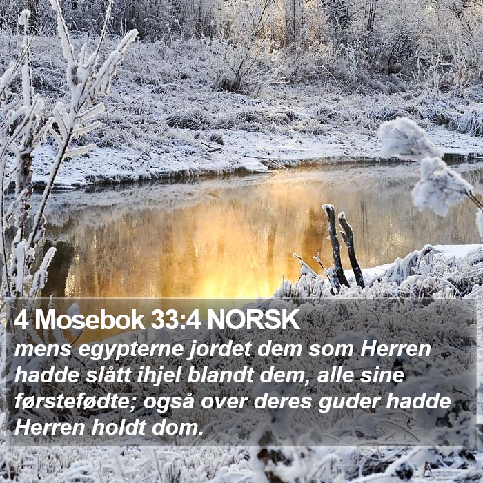 4 Mosebok 33:4 NORSK Bible Study