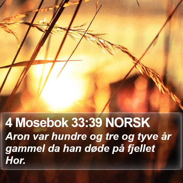 4 Mosebok 33:39 NORSK Bible Study