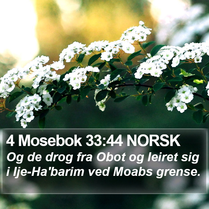 4 Mosebok 33:44 NORSK Bible Study