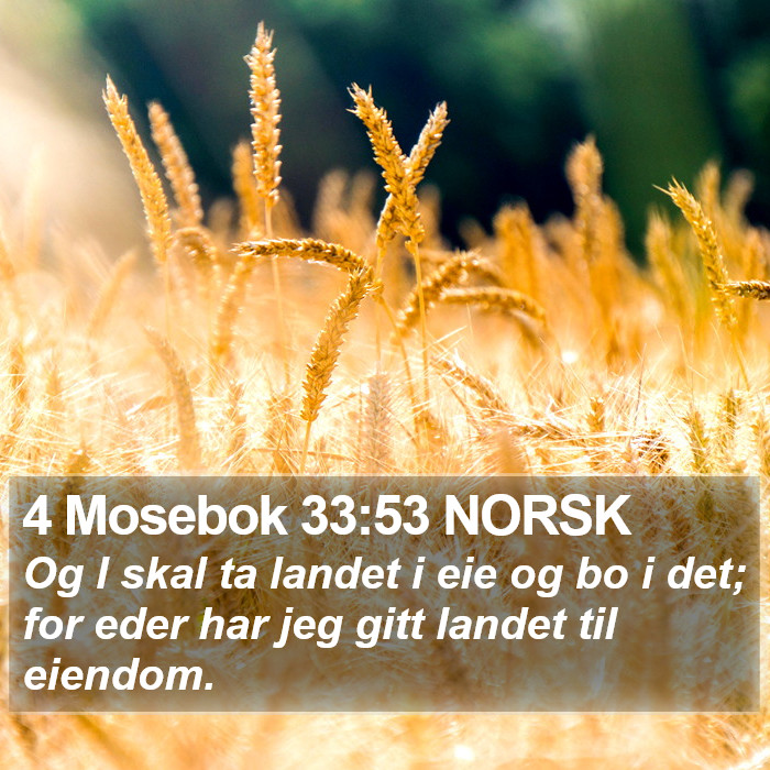 4 Mosebok 33:53 NORSK Bible Study