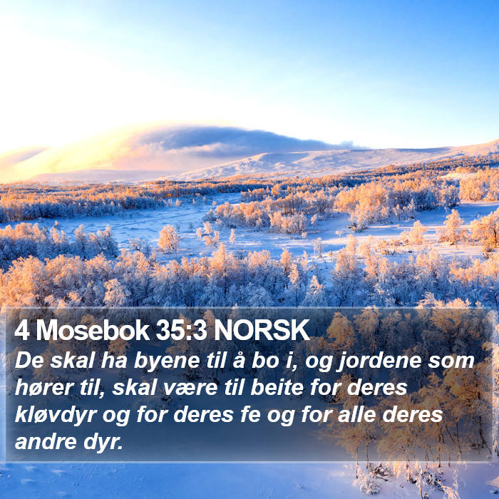 4 Mosebok 35:3 NORSK Bible Study