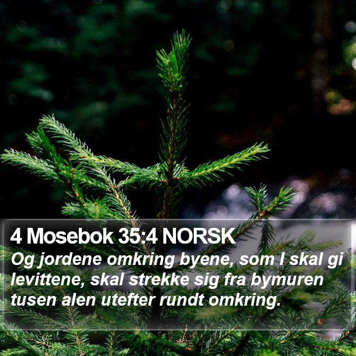 4 Mosebok 35:4 NORSK Bible Study