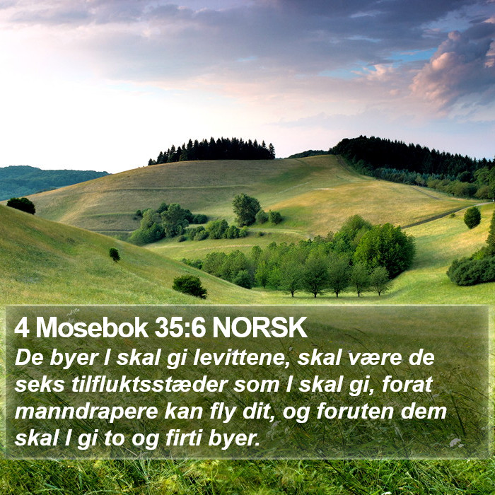 4 Mosebok 35:6 NORSK Bible Study