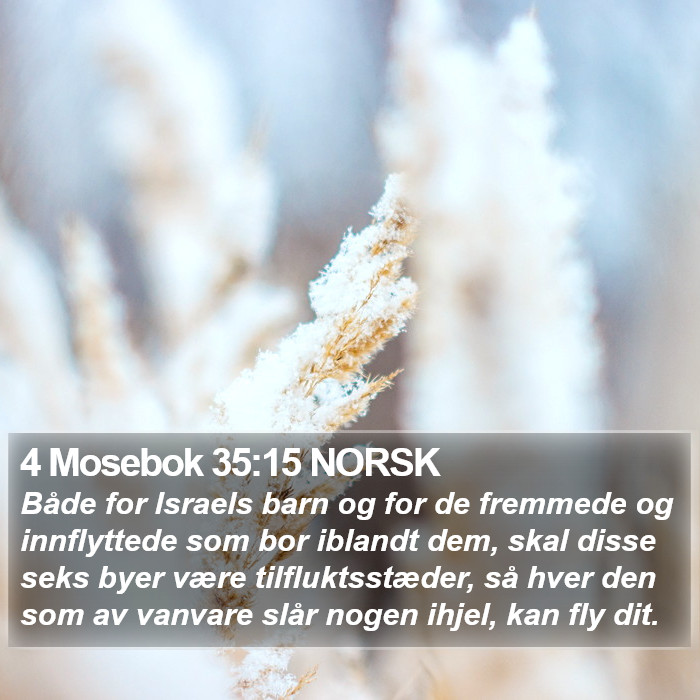 4 Mosebok 35:15 NORSK Bible Study