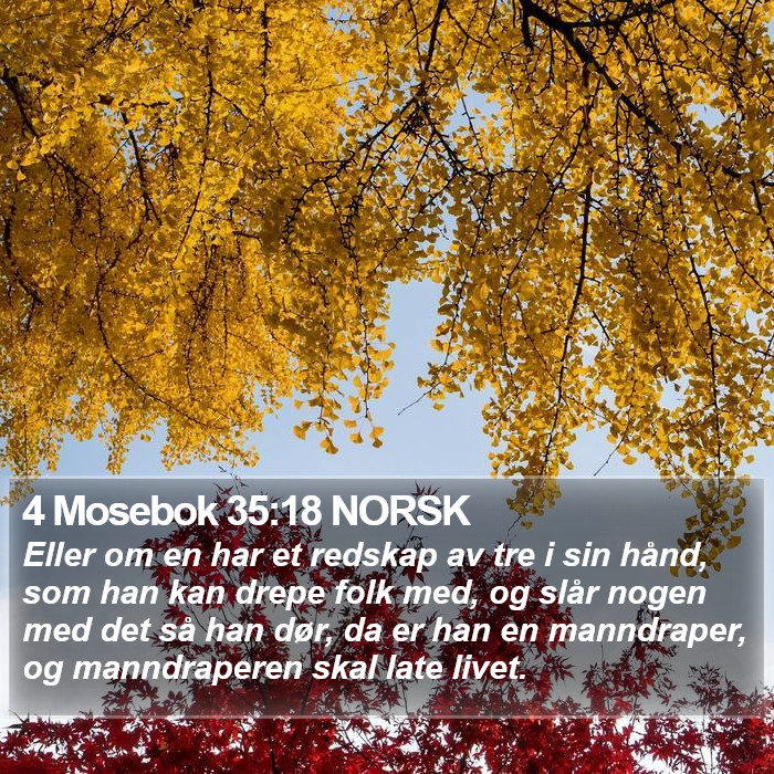 4 Mosebok 35:18 NORSK Bible Study