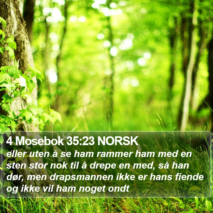 4 Mosebok 35:23 NORSK Bible Study