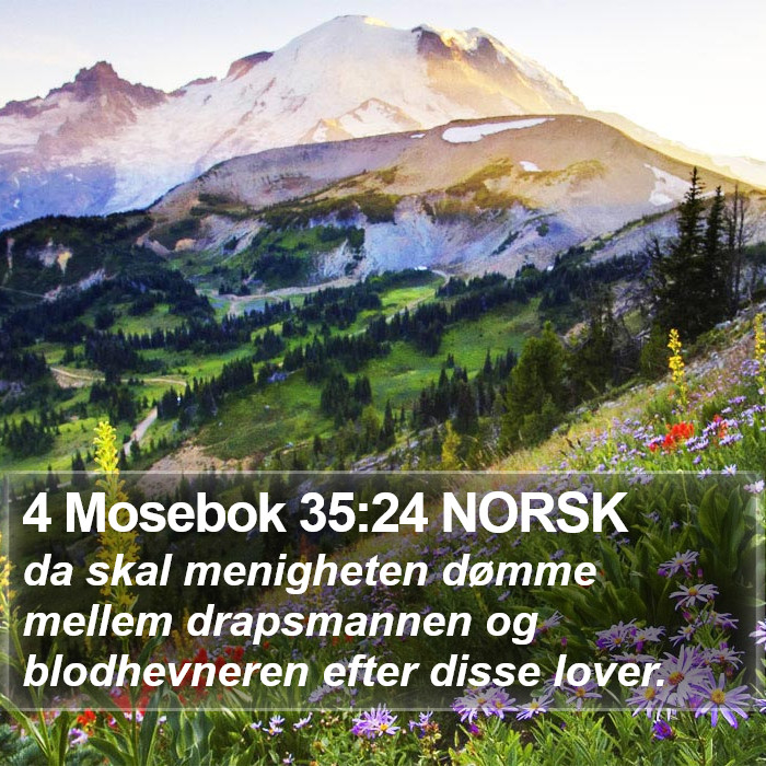 4 Mosebok 35:24 NORSK Bible Study