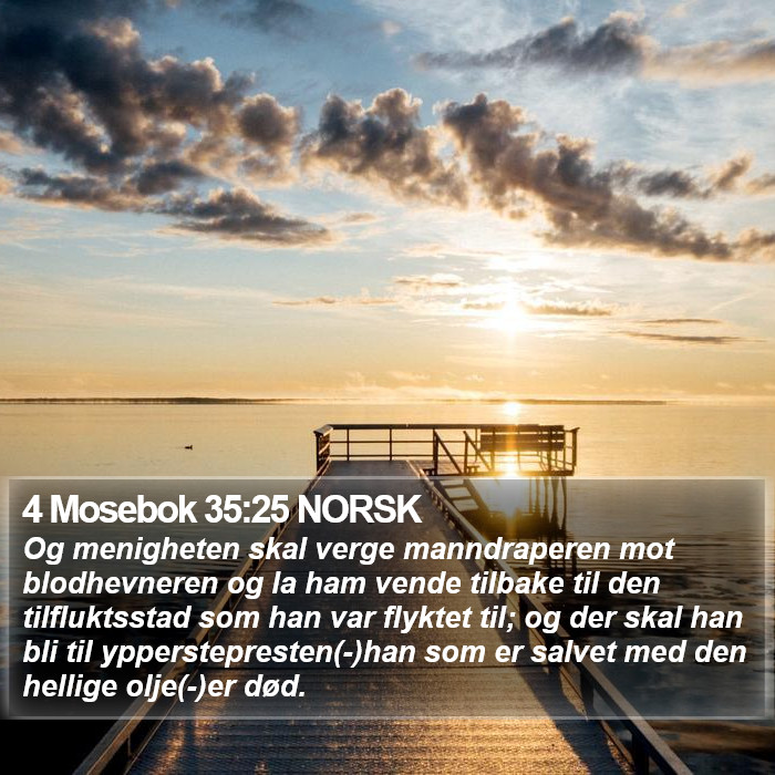 4 Mosebok 35:25 NORSK Bible Study