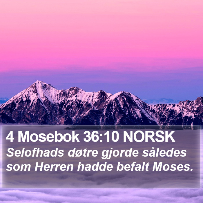 4 Mosebok 36:10 NORSK Bible Study