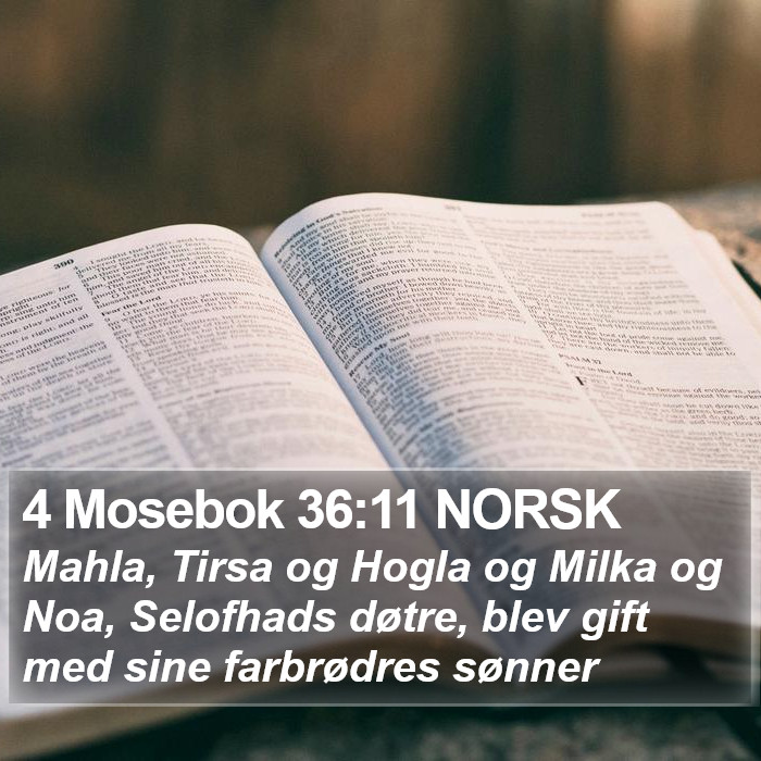 4 Mosebok 36:11 NORSK Bible Study