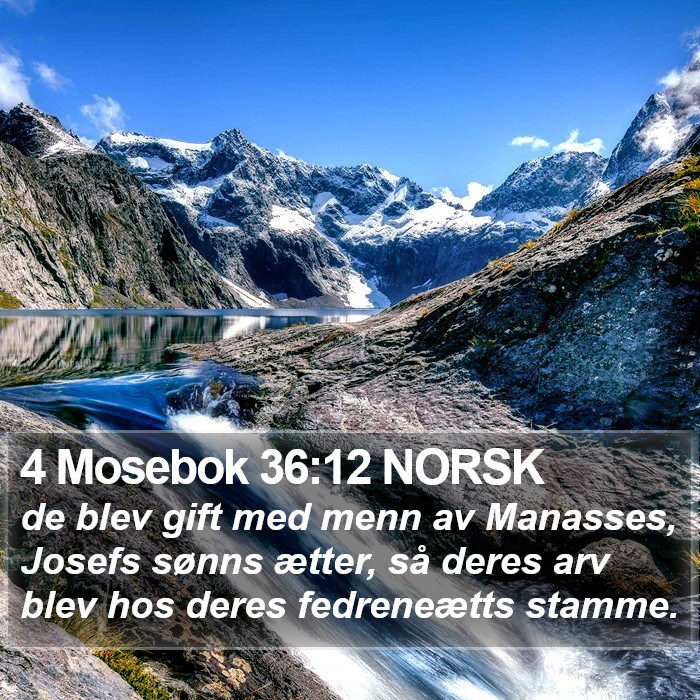 4 Mosebok 36:12 NORSK Bible Study