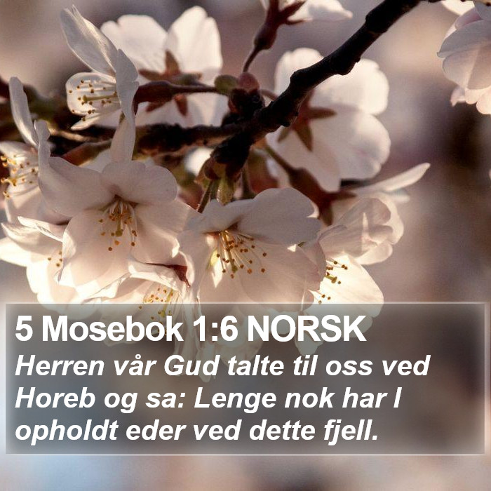 5 Mosebok 1:6 NORSK Bible Study