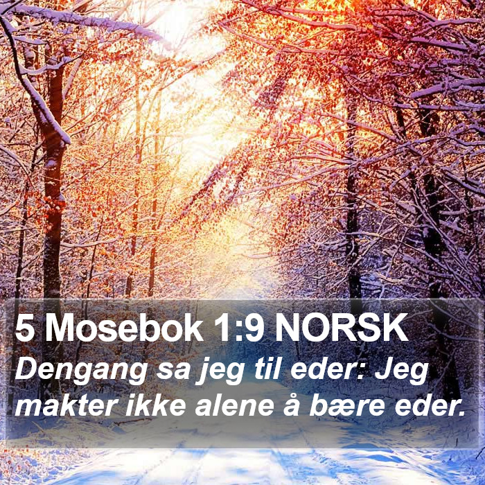 5 Mosebok 1:9 NORSK Bible Study