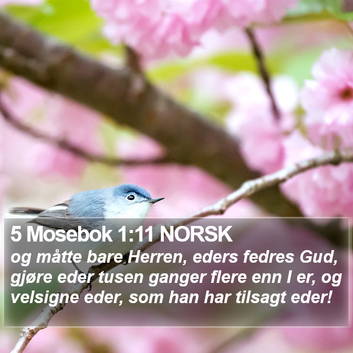 5 Mosebok 1:11 NORSK Bible Study