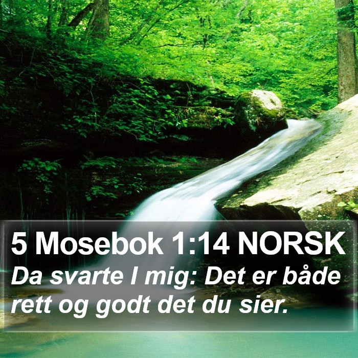 5 Mosebok 1:14 NORSK Bible Study