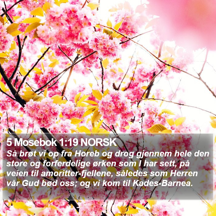 5 Mosebok 1:19 NORSK Bible Study