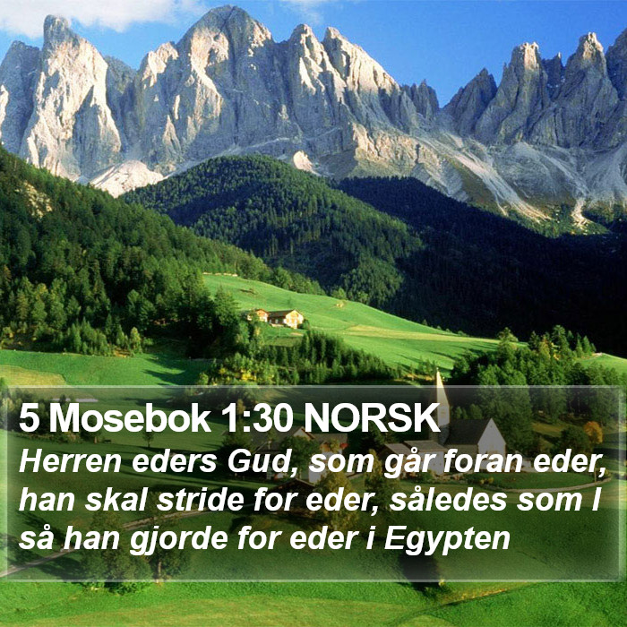 5 Mosebok 1:30 NORSK Bible Study