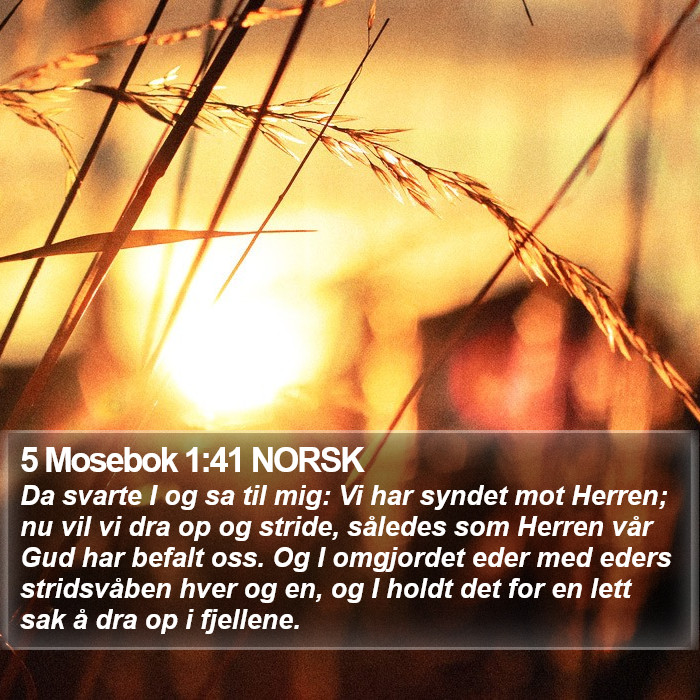 5 Mosebok 1:41 NORSK Bible Study