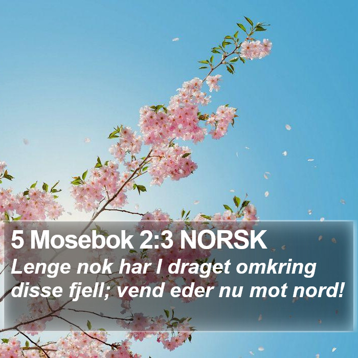 5 Mosebok 2:3 NORSK Bible Study