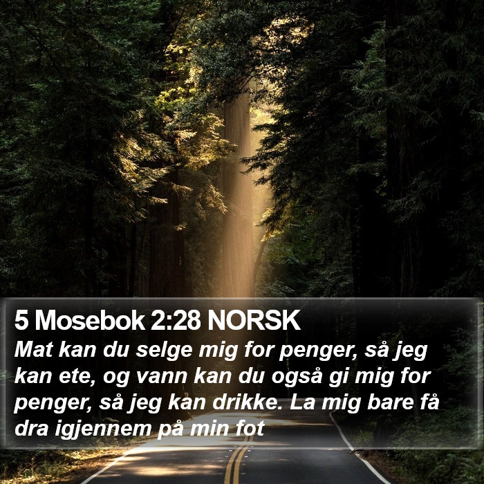 5 Mosebok 2:28 NORSK Bible Study