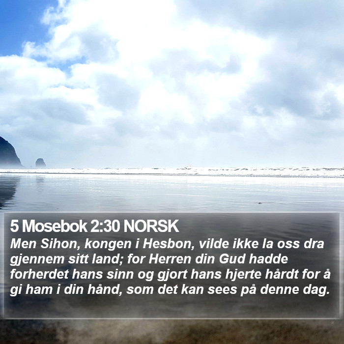 5 Mosebok 2:30 NORSK Bible Study