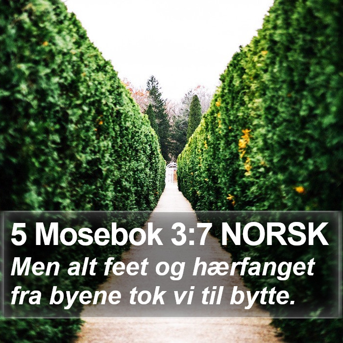 5 Mosebok 3:7 NORSK Bible Study
