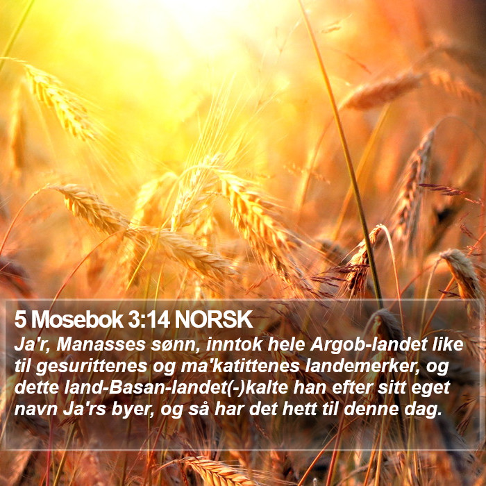 5 Mosebok 3:14 NORSK Bible Study