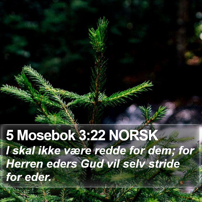5 Mosebok 3:22 NORSK Bible Study