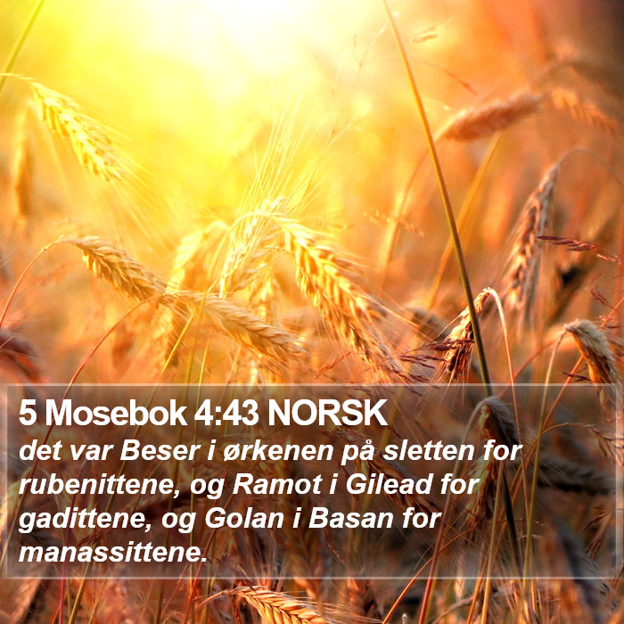 5 Mosebok 4:43 NORSK Bible Study