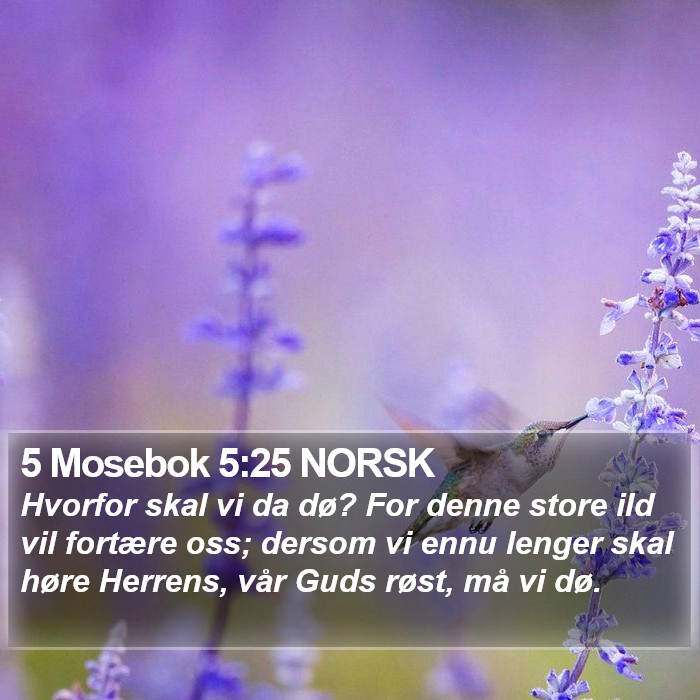 5 Mosebok 5:25 NORSK Bible Study