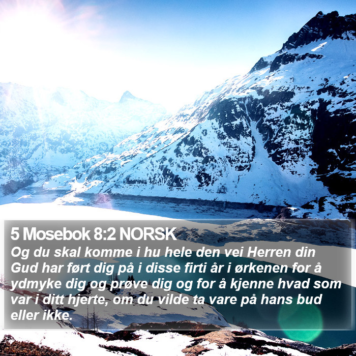 5 Mosebok 8:2 NORSK Bible Study