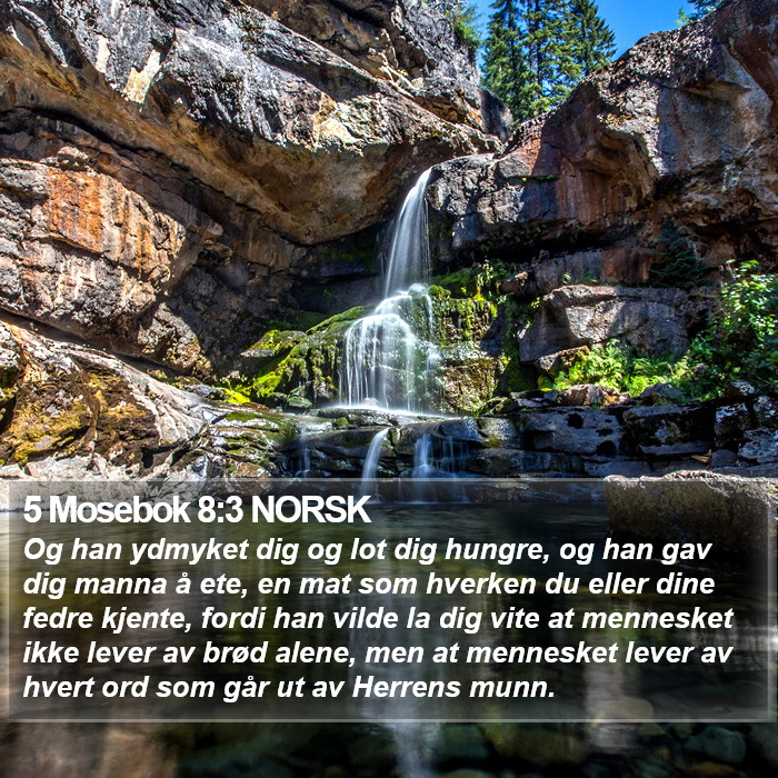 5 Mosebok 8:3 NORSK Bible Study