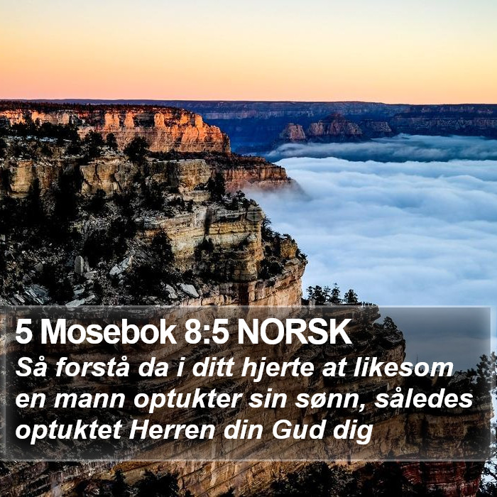 5 Mosebok 8:5 NORSK Bible Study