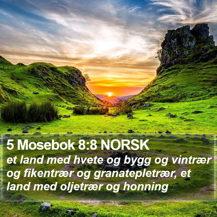 5 Mosebok 8:8 NORSK Bible Study