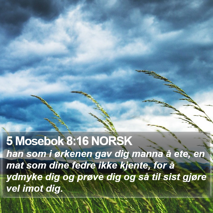 5 Mosebok 8:16 NORSK Bible Study