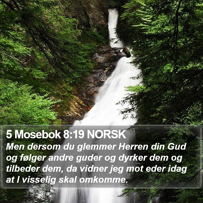 5 Mosebok 8:19 NORSK Bible Study