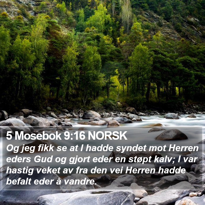 5 Mosebok 9:16 NORSK Bible Study