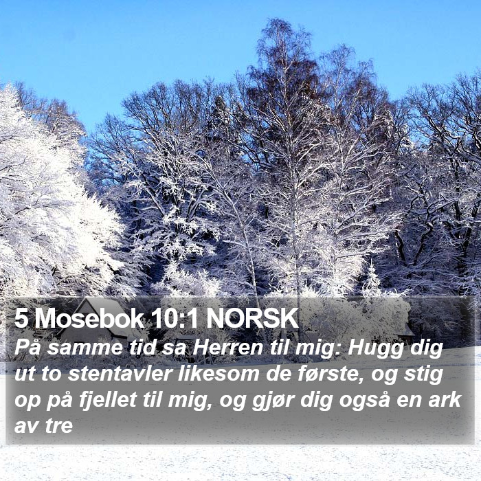 5 Mosebok 10:1 NORSK Bible Study