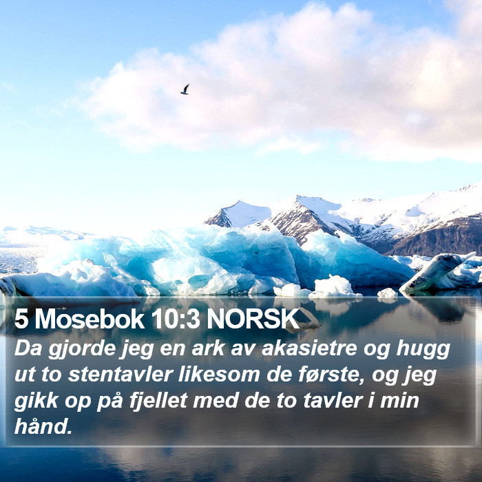 5 Mosebok 10:3 NORSK Bible Study