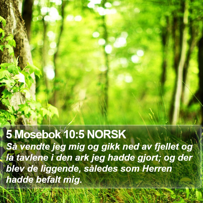 5 Mosebok 10:5 NORSK Bible Study