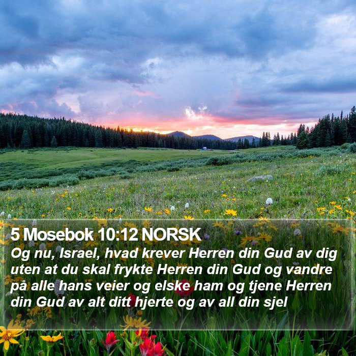 5 Mosebok 10:12 NORSK Bible Study