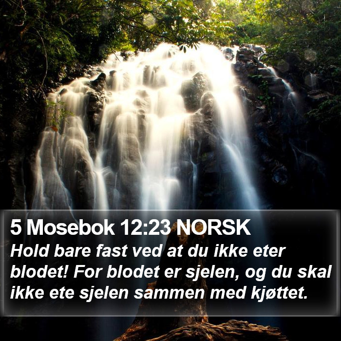5 Mosebok 12:23 NORSK Bible Study