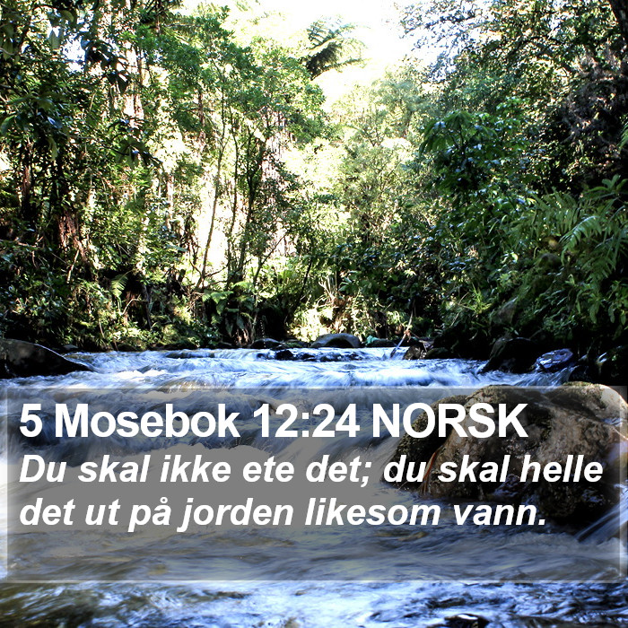 5 Mosebok 12:24 NORSK Bible Study