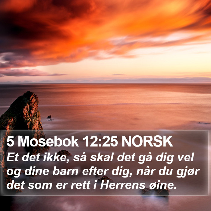 5 Mosebok 12:25 NORSK Bible Study