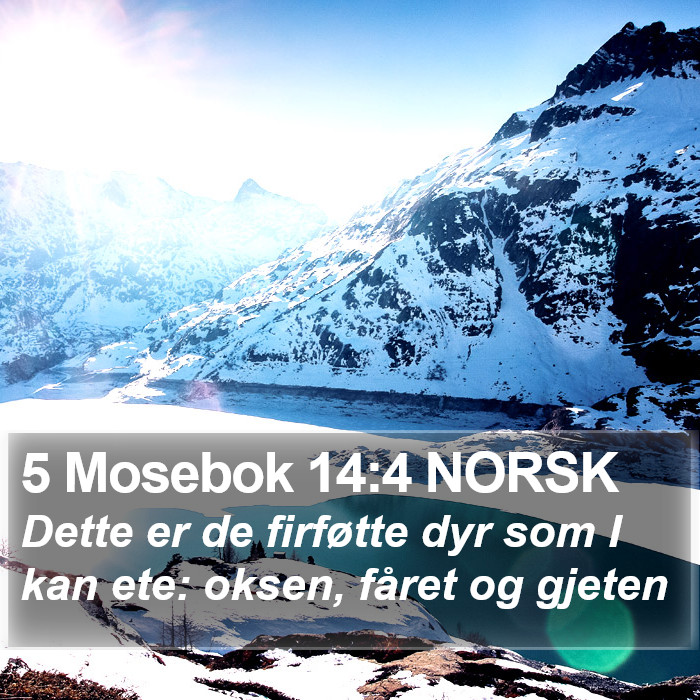 5 Mosebok 14:4 NORSK Bible Study