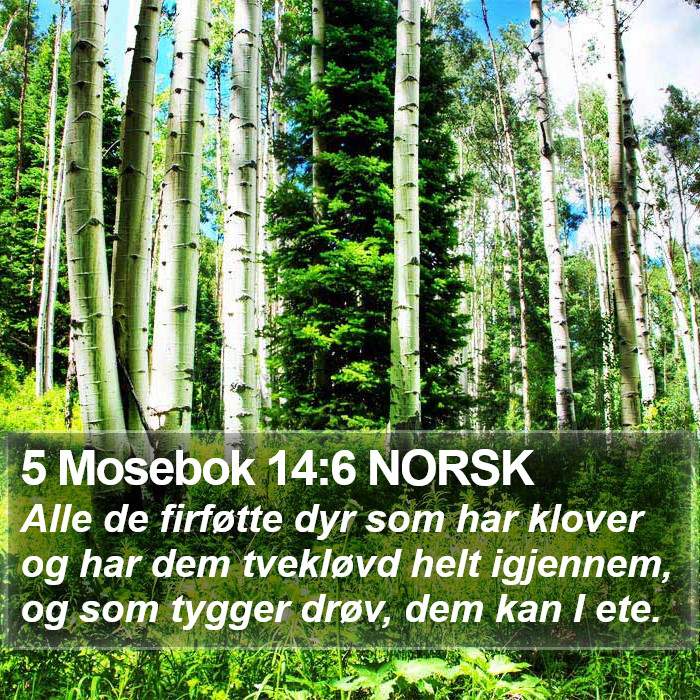 5 Mosebok 14:6 NORSK Bible Study