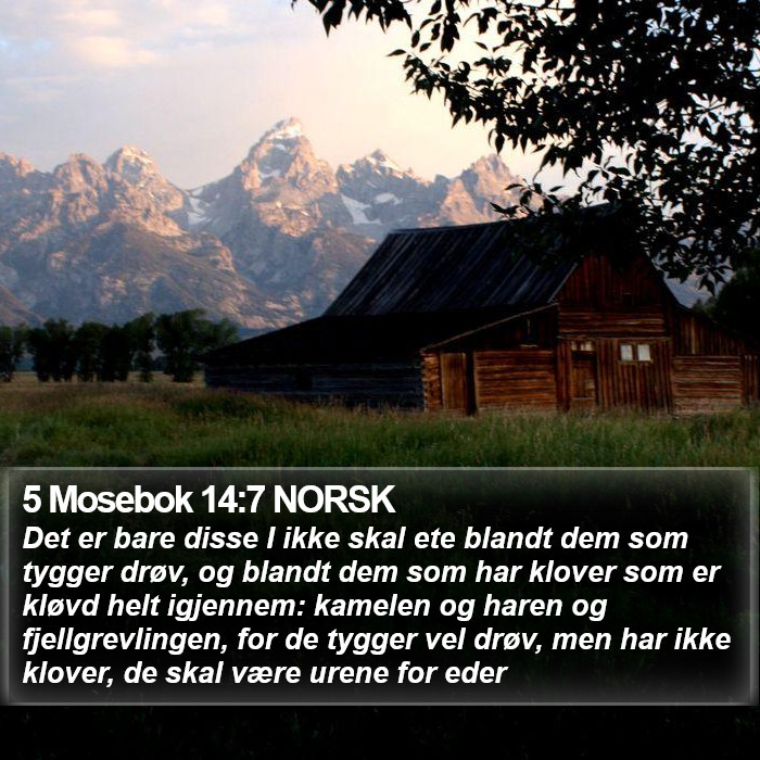 5 Mosebok 14:7 NORSK Bible Study
