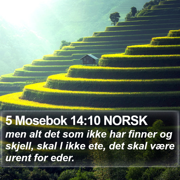 5 Mosebok 14:10 NORSK Bible Study